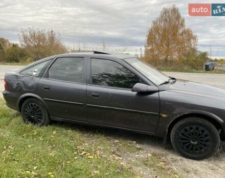 Фіолетовий Опель Вектра, об'ємом двигуна 1.6 л та пробігом 380 тис. км за 1500 $, фото 3 на Automoto.ua