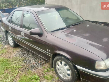 Опель Вектра 1991 в Луцке на Automoto.ua Фиолетовый Опель Вектра, объемом двигателя 1.8 л и пробегом 290 тыс. км за 2200 $, фото 1 на Automoto.ua