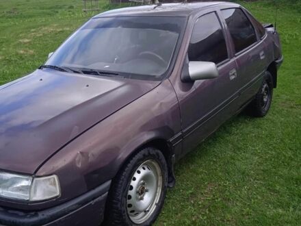 Опель Вектра 1991 у Калуше на Automoto.ua Фіолетовий Опель Вектра, об'ємом двигуна 1.6 л та пробігом 380 тис. км за 500 $, фото 1 на Automoto.ua