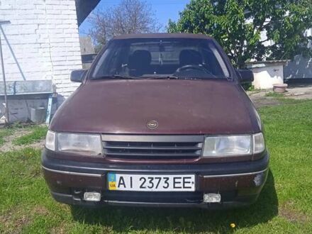 Опель Вектра 1991 в Кагарлыке на Automoto.ua Фиолетовый Опель Вектра, объемом двигателя 2 л и пробегом 320 тыс. км за 935 $, фото 1 на Automoto.ua