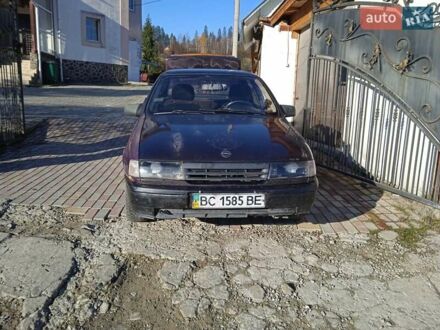 Опель Вектра 1992 у Золочеве на Automoto.ua Фіолетовий Опель Вектра, об'ємом двигуна 1.6 л та пробігом 100 тис. км за 1100 $, фото 1 на Automoto.ua