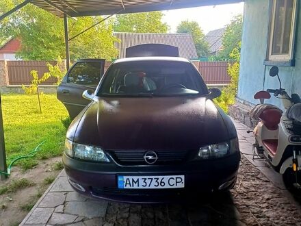 Опель Вектра 1996 в Житомире на Automoto.ua Фиолетовый Опель Вектра, объемом двигателя 1.6 л и пробегом 300 тыс. км за 1800 $, фото 1 на Automoto.ua