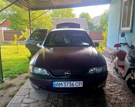 Фиолетовый Опель Вектра, объемом двигателя 1.6 л и пробегом 300 тыс. км за 1800 $, фото 1 на Automoto.ua