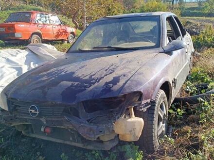 Опель Вектра 1997 в Черновцах на Automoto.ua Фиолетовый Опель Вектра, объемом двигателя 1.6 л и пробегом 100 тыс. км за 900 $, фото 1 на Automoto.ua
