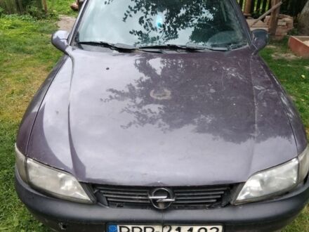 Опель Вектра 1997 в Ровно на Automoto.ua Фиолетовый Опель Вектра, объемом двигателя 1.8 л и пробегом 400 тыс. км за 650 $, фото 1 на Automoto.ua