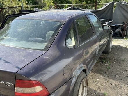 Опель Вектра 1998 в Николаеве на Automoto.ua Фиолетовый Опель Вектра, объемом двигателя 1.6 л и пробегом 10 тыс. км за 265 $, фото 1 на Automoto.ua
