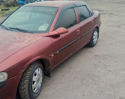 Червоний Опель Вектра, об'ємом двигуна 1.6 л та пробігом 230 тис. км за 2300 $, фото 1 на Automoto.ua
