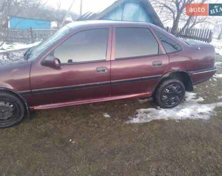 Красный Опель Вектра, объемом двигателя 1.6 л и пробегом 183 тыс. км за 1800 $, фото 2 на Automoto.ua