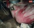 Червоний Опель Вектра, об'ємом двигуна 2 л та пробігом 260 тис. км за 1150 $, фото 23 на Automoto.ua