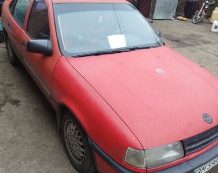 Красный Опель Вектра, объемом двигателя 1 л и пробегом 300 тыс. км за 1300 $, фото 2 на Automoto.ua