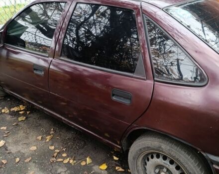 Красный Опель Вектра, объемом двигателя 2 л и пробегом 263 тыс. км за 250 $, фото 11 на Automoto.ua