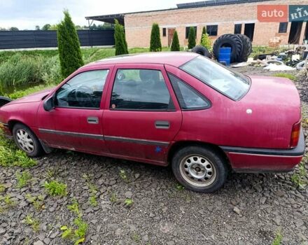 Опель Вектра 1990 в Камень-Каширский на Automoto.ua Красный Опель Вектра, объемом двигателя 1.8 л и пробегом 284 тыс. км за 600 $, фото 2 на Automoto.ua