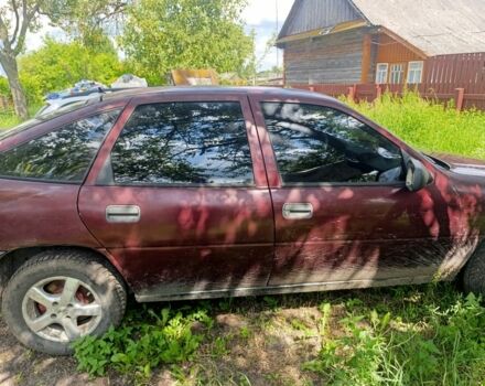 Красный Опель Вектра, объемом двигателя 2 л и пробегом 3 тыс. км за 600 $, фото 2 на Automoto.ua