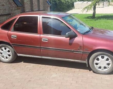 Красный Опель Вектра, объемом двигателя 1.6 л и пробегом 250 тыс. км за 1600 $, фото 4 на Automoto.ua
