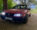 Опель Вектра 1991 в Долине на Automoto.ua Красный Опель Вектра, объемом двигателя 1.6 л и пробегом 289 тыс. км за 1650 $, фото 2 на Automoto.ua