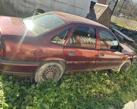 Красный Опель Вектра, объемом двигателя 1.7 л и пробегом 300 тыс. км за 600 $, фото 6 на Automoto.ua
