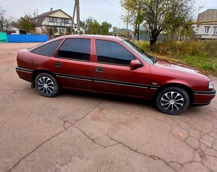 Опель Вектра 1995 в Коростене на Automoto.ua Красный Опель Вектра, объемом двигателя 2 л и пробегом 318 тыс. км за 2300 $, фото 9 на Automoto.ua