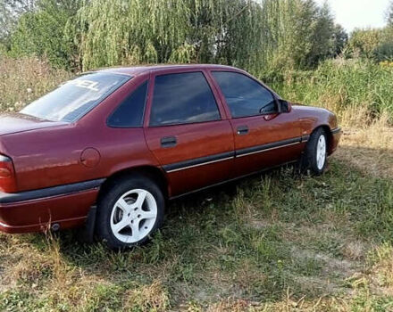 Опель Вектра 1995 в Ровно на Automoto.ua Красный Опель Вектра, объемом двигателя 1.8 л и пробегом 280 тыс. км за 1999 $, фото 2 на Automoto.ua