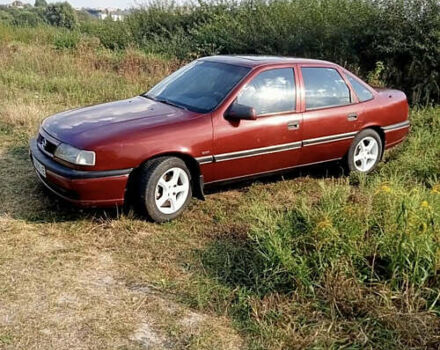Опель Вектра 1995 в Ровно на Automoto.ua Красный Опель Вектра, объемом двигателя 1.8 л и пробегом 280 тыс. км за 1999 $, фото 1 на Automoto.ua