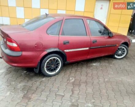 Красный Опель Вектра, объемом двигателя 1.6 л и пробегом 220 тыс. км за 1800 $, фото 2 на Automoto.ua