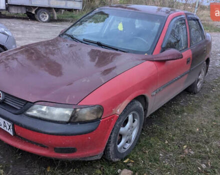 Красный Опель Вектра, объемом двигателя 1.8 л и пробегом 200 тыс. км за 999 $, фото 1 на Automoto.ua