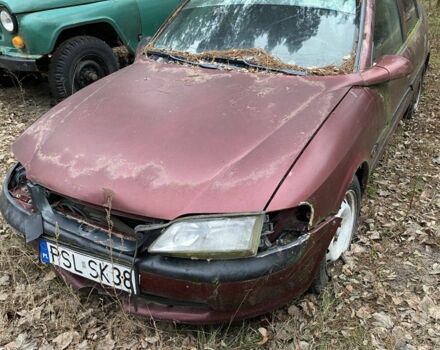 Червоний Опель Вектра, об'ємом двигуна 1.6 л та пробігом 300 тис. км за 400 $, фото 2 на Automoto.ua