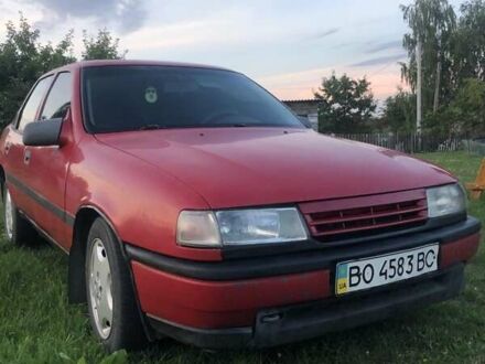 Опель Вектра 1988 у Любомль на Automoto.ua Червоний Опель Вектра, об'ємом двигуна 1.6 л та пробігом 600 тис. км за 1300 $, фото 1 на Automoto.ua