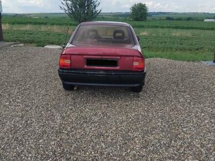 Опель Вектра 1989 в Коломые на Automoto.ua Красный Опель Вектра, объемом двигателя 1.6 л и пробегом 429 тыс. км за 2000 $, фото 1 на Automoto.ua