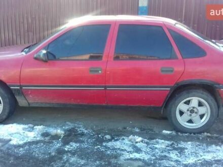 Опель Вектра 1989 в Ужгороде на Automoto.ua Красный Опель Вектра, объемом двигателя 2 л и пробегом 300 тыс. км за 1800 $, фото 1 на Automoto.ua