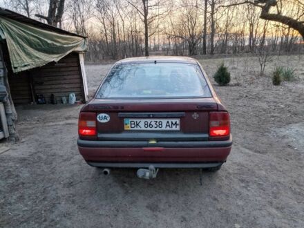 Опель Вектра 1990 в Сарнах на Automoto.ua Красный Опель Вектра, объемом двигателя 1.6 л и пробегом 198 тыс. км за 1300 $, фото 1 на Automoto.ua