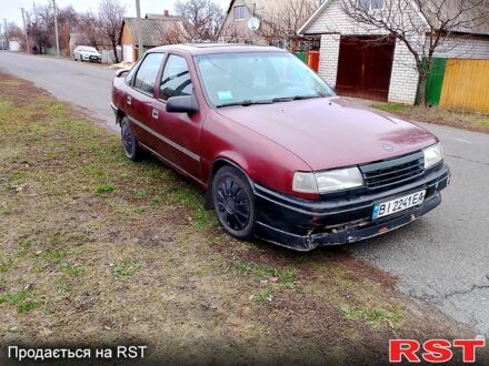 Опель Вектра 1990 у Шишаках на Automoto.ua Червоний Опель Вектра, об'ємом двигуна 20 л та пробігом 256 тис. км за 1300 $, фото 1 на Automoto.ua