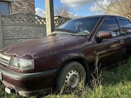 Красный Опель Вектра, объемом двигателя 1.6 л и пробегом 250 тыс. км за 1000 $, фото 1 на Automoto.ua