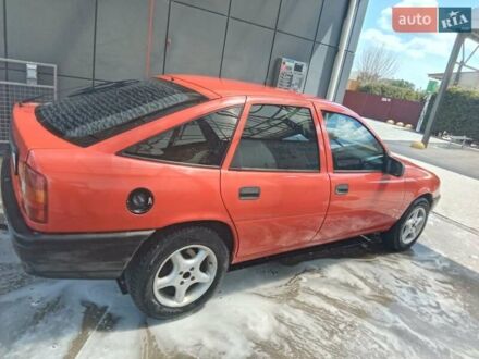 Опель Вектра 1990 в Беляевке на Automoto.ua Красный Опель Вектра, объемом двигателя 2 л и пробегом 270 тыс. км за 2500 $, фото 1 на Automoto.ua