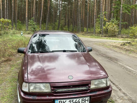 Опель Вектра 1991 в Изяслве на Automoto.ua Красный Опель Вектра, объемом двигателя 2 л и пробегом 300 тыс. км за 999 $, фото 1 на Automoto.ua