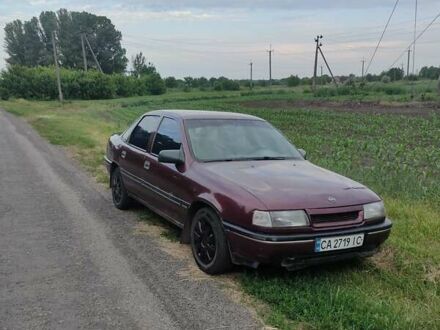 Опель Вектра 1991 в Золотоноше на Automoto.ua Красный Опель Вектра, объемом двигателя 2 л и пробегом 270 тыс. км за 1500 $, фото 1 на Automoto.ua
