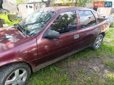 Опель Вектра 1991 в Сарнах на Automoto.ua Красный Опель Вектра, объемом двигателя 2 л и пробегом 85 тыс. км за 1100 $, фото 1 на Automoto.ua