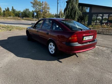 Опель Вектра 1996 в Киеве на Automoto.ua Красный Опель Вектра, объемом двигателя 1.6 л и пробегом 277 тыс. км за 2100 $, фото 1 на Automoto.ua
