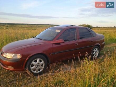 Опель Вектра 1997 в Луцке на Automoto.ua Красный Опель Вектра, объемом двигателя 1.8 л и пробегом 260 тыс. км за 3100 $, фото 1 на Automoto.ua