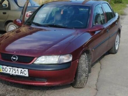 Опель Вектра 1998 в Дубно на Automoto.ua Красный Опель Вектра, объемом двигателя 1.6 л и пробегом 285 тыс. км за 2600 $, фото 1 на Automoto.ua