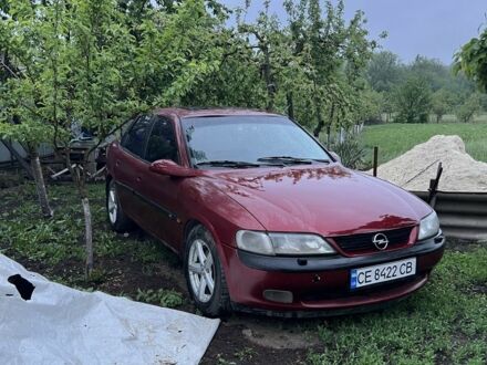 Опель Вектра 1998 в Кельменцах на Automoto.ua Красный Опель Вектра, объемом двигателя 2 л и пробегом 400 тыс. км за 2200 $, фото 1 на Automoto.ua