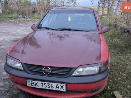 Красный Опель Вектра, объемом двигателя 1.8 л и пробегом 200 тыс. км за 999 $, фото 1 на Automoto.ua