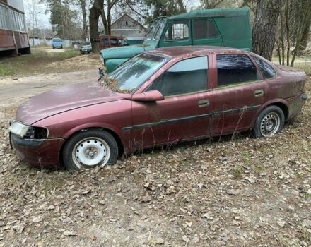 Червоний Опель Вектра, об'ємом двигуна 1.6 л та пробігом 300 тис. км за 400 $, фото 1 на Automoto.ua