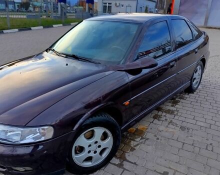 Червоний Опель Вектра, об'ємом двигуна 1.6 л та пробігом 257 тис. км за 2500 $, фото 1 на Automoto.ua