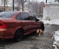 Опель Вектра, объемом двигателя 1.8 л и пробегом 250 тыс. км за 3500 $, фото 5 на Automoto.ua