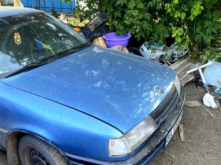 Опель Вектра 1989 в Новомиргороде на Automoto.ua Опель Вектра, объемом двигателя 20 л и пробегом 0 тыс. км за 1470 $, фото 1 на Automoto.ua