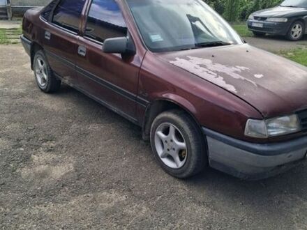 Опель Вектра, об'ємом двигуна 0 л та пробігом 265 тис. км за 1600 $, фото 1 на Automoto.ua