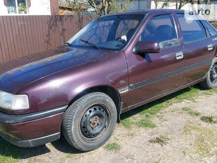 Опель Вектра 1991 у Рожище на Automoto.ua Опель Вектра, об'ємом двигуна 1.8 л та пробігом 248 тис. км за 1280 $, фото 1 на Automoto.ua