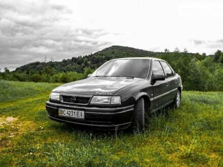 Опель Вектра 1993 в Трускавце на Automoto.ua Опель Вектра, объемом двигателя 0 л и пробегом 40 тыс. км за 1500 $, фото 1 на Automoto.ua