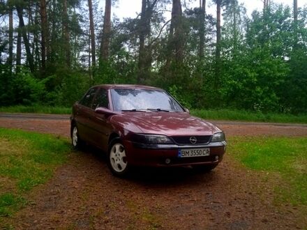 Опель Вектра 1996 в Глухове на Automoto.ua Опель Вектра, объемом двигателя 1.7 л и пробегом 500 тыс. км за 3000 $, фото 1 на Automoto.ua