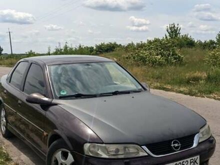 Опель Вектра 2000 в Ровно на Automoto.ua Опель Вектра, объемом двигателя 1.8 л и пробегом 306 тыс. км за 1599 $, фото 1 на Automoto.ua